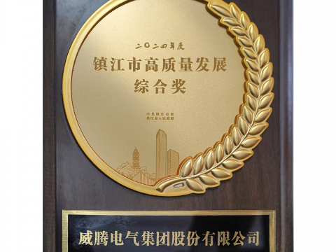 喜讯│tyc86太阳集团荣获2024年度镇江市高质量生长综合奖